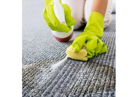 Book Carpet Cleaning Melbourne Today