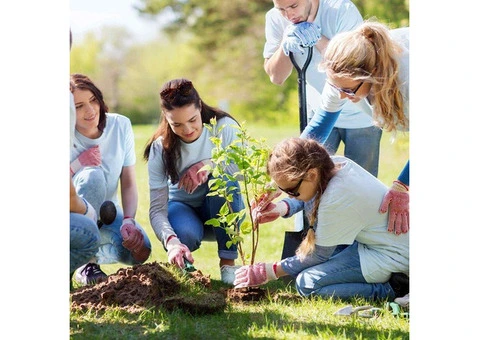 Enhance Your Social Life with NDIS Community Participation Support