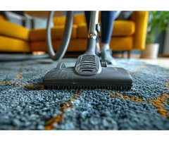Best Professional Carpet Cleaning Gold Coast | Eco-Safe Cleaning – Ezydry