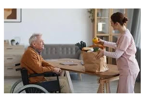 Professional Domestic Assistance Help in Dandenong - 1/5