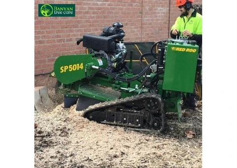 Expert Stump Grinding in Melbourne for Homes and Businesses