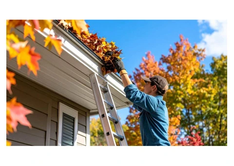 Professional Gutter Cleaning in Wollongong – Fast & Reliable!