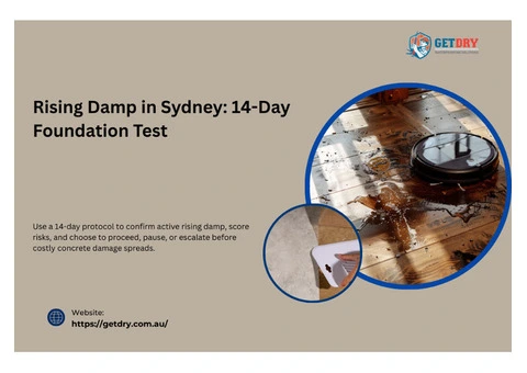 Rising Damp in Sydney: 14-Day Foundation Test