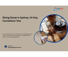 Rising Damp in Sydney: 14-Day Foundation Test