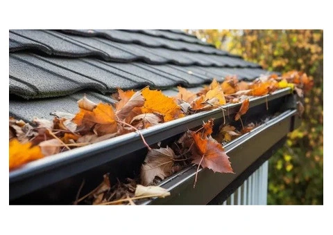 Professional Gutter Cleaning Services in the Eastern Suburbs