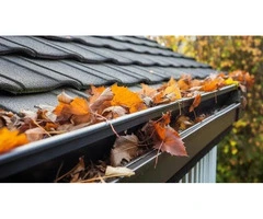 Professional Gutter Cleaning Services in the Eastern Suburbs