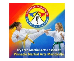 Pinnacle Taekwondo Martial Arts In Penrith