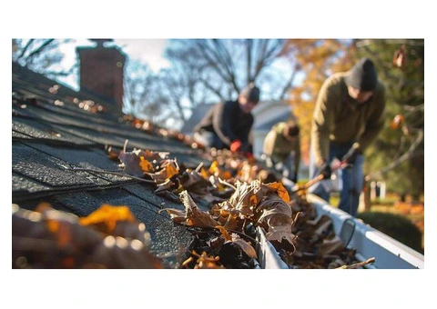 Professional Gutter Cleaning Services in Sydney