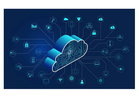 Local Managed IT Services Brisbane You Can Rely On | Elevate