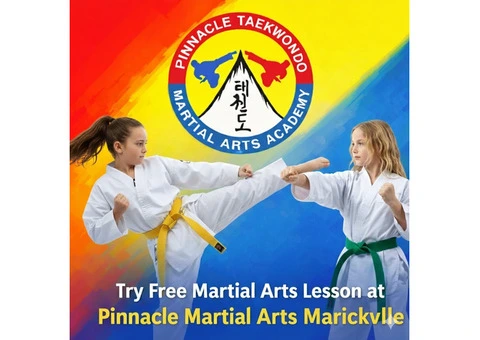 Pinnacle Taekwondo Martial Arts in Marrickville
