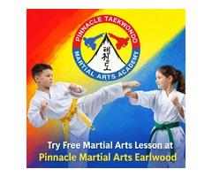 Pinnacle Taekwondo Martial Arts In Earlwood