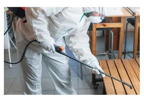 Pest Control Services in Aspendale Gardens for Local Properties