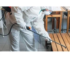 Pest Control Services in Aspendale Gardens for Local Properties