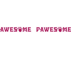 Awesome Pawsome - Mobile Pet Grooming & Wash