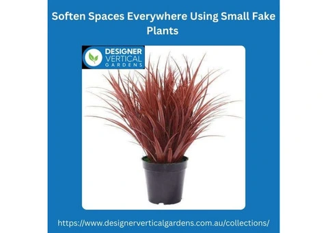 Soften Spaces Everywhere Using Small Fake Plants