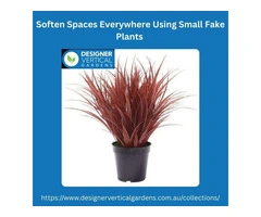 Soften Spaces Everywhere Using Small Fake Plants