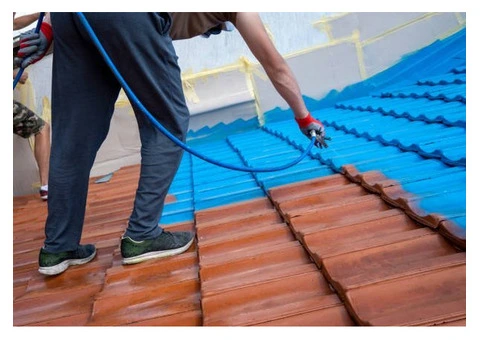 Protect Your Roof with Expert Roof Painting Services