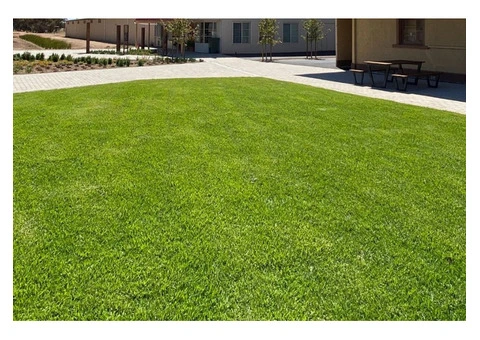 Premium Lawn Installation Adelaide – Growing Greener Outdoor Spaces with The Turf Farm