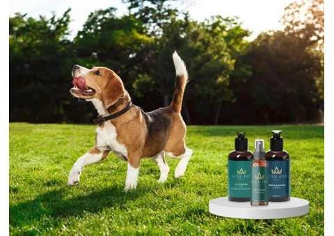 Pet Perfume for Everyday Freshness