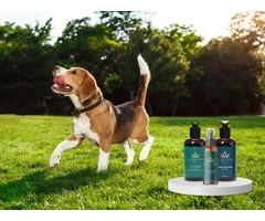 Pet Perfume for Everyday Freshness