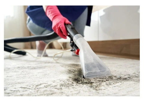Eco-Friendly Carpet Cleaning in Kensington