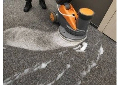 Affordable Steam Carpet Cleaning in Melbourne Location - 2/4
