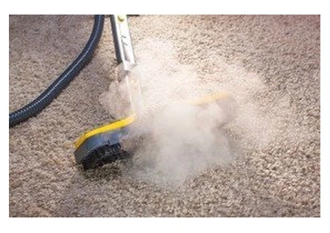 Affordable Steam Carpet Cleaning in Melbourne Location - 3/4