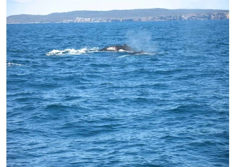 Book Your Private Hyams Beach Holiday Rental – Ocean Views & Coastal Luxury Await