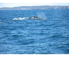 Book Your Private Hyams Beach Holiday Rental – Ocean Views & Coastal Luxury Await