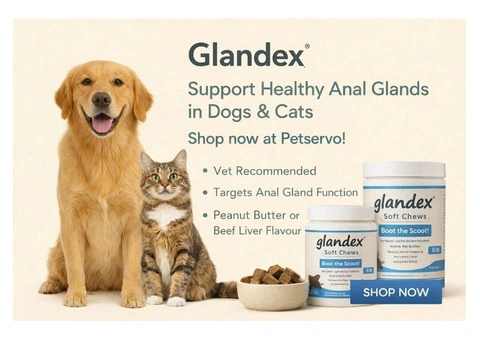 Glandex – The Natural Way to Support Healthy Anal Glands in Dogs & Cats.