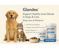 Glandex – The Natural Way to Support Healthy Anal Glands in Dogs & Cats.