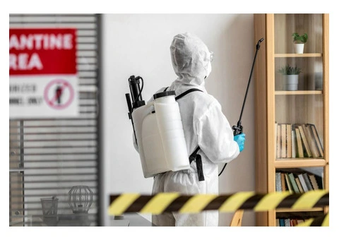 When Was The Last Time You Had A Termite Inspection?