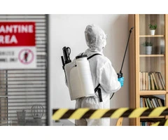 When Was The Last Time You Had A Termite Inspection?