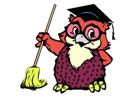 Wyzowl Cleaning Service - Carpet Cleaning & Commercial Cleaning Southern Highlands
