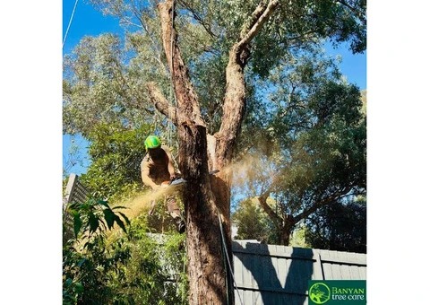 Professional Tree Cutters in Melbourne for Safe & Reliable Service