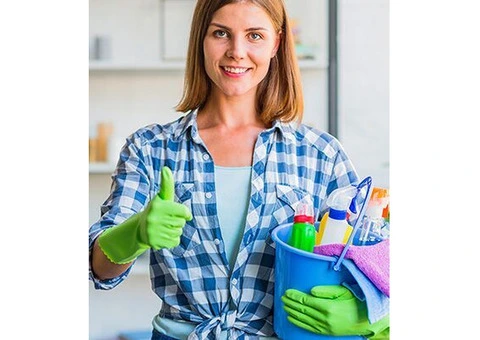 Best Rug Cleaner for Delicate Floor Rugs