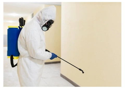 End of Lease Pest Control Gold Coast – Property Treatment Before Handover