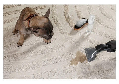 Emergency Stain Removal – Call Now - 2/4