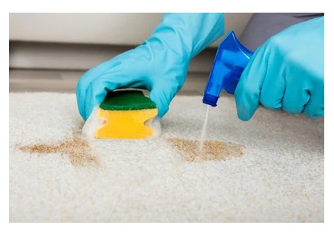 Emergency Stain Removal – Call Now - 4/4