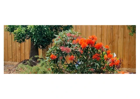 Experienced Lawn Mowing & Landscaping Services Near Port Melbourne