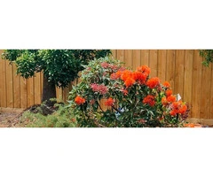 Experienced Lawn Mowing & Landscaping Services Near Port Melbourne