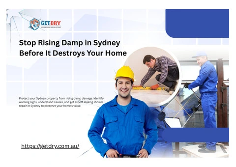 How to Spot, Stop, and Save Your Home’s Rising Damp in Sydney