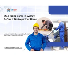 How to Spot, Stop, and Save Your Home’s Rising Damp in Sydney