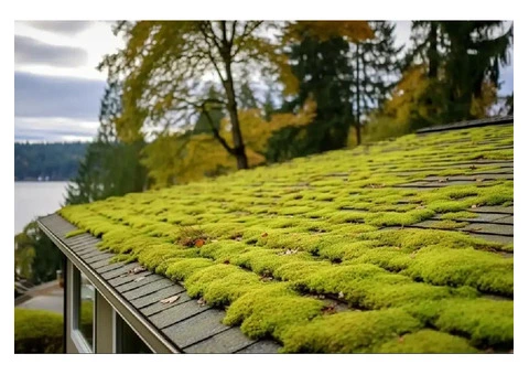 Roof Cleaning Adelaide