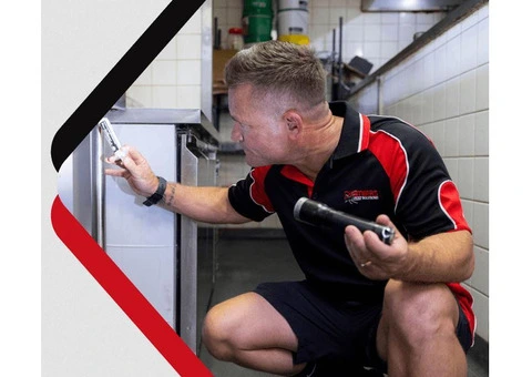 Termite Control Perth - Chambers Pest Solutions