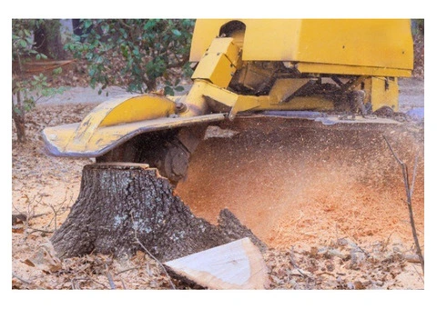 Sydney’s smoothest lawns start with our grinder