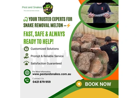 Snake removal Melton