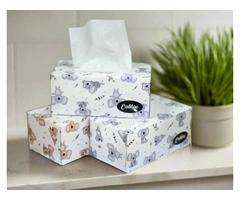 Buy Facial Tissues Melbourne in a Pack of 180 Wipes