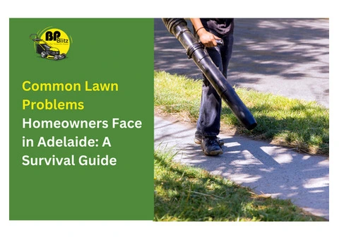 Looking for a Lawn Problems in Adelaide