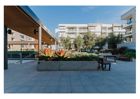 Planning to Completion: Mastering Commercial Landscaping and Civil Works